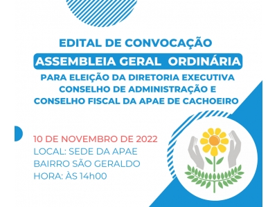 ELEIÇÃO DIRETORIA EXECUTIVA E CONSELHOS ADMINISTRATIVO E F...